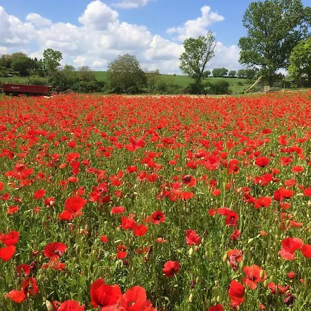 Il Fienile * 蒙特里久尼