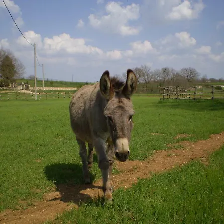 Il Fienile 公寓 蒙特里久尼