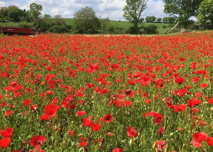 Il Fienile * Monteriggioni