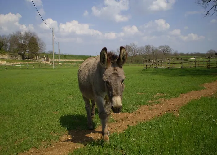 Il Fienile Lejlighed Monteriggioni